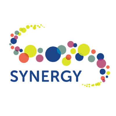 Synergy Youth Internship Program